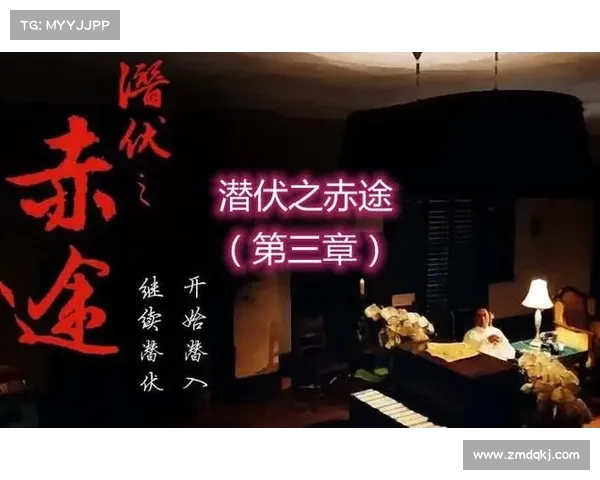 深度解析进阶潜伏之赤途打造无声制胜与全面渗透的实战技巧宝典 深度解析进阶潜伏之赤途打造无声制胜与全面渗透的实战技巧宝典